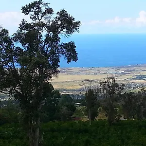 Bed & Breakfast Mango Sunset Bnb At Lyman Organic Kona Coffee Farms, Kalaoa